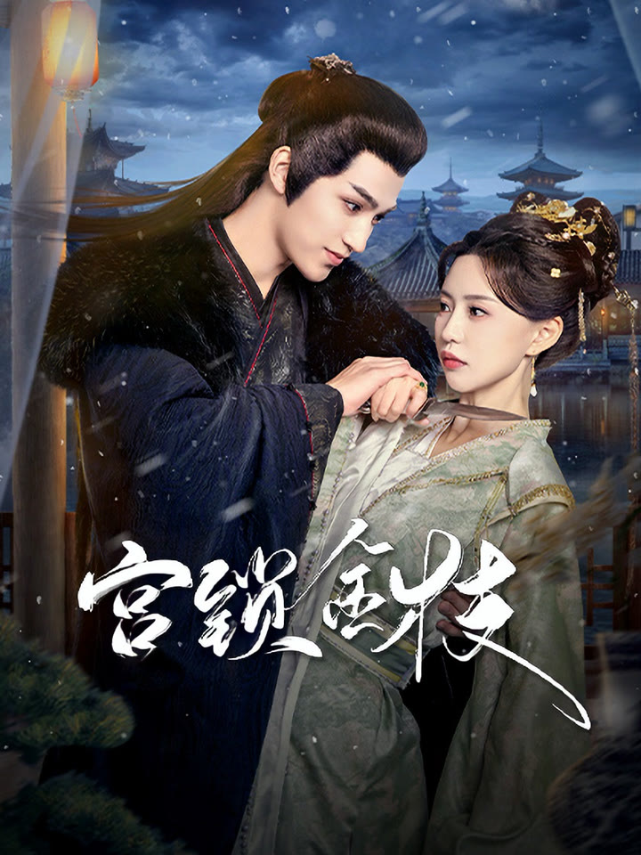 宫锁金枝海报